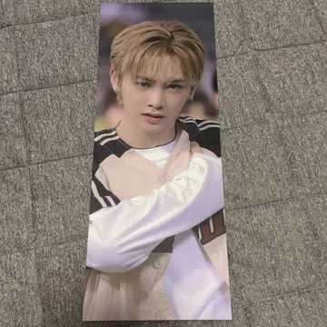 보이프라2 안신 비공식 슬로건