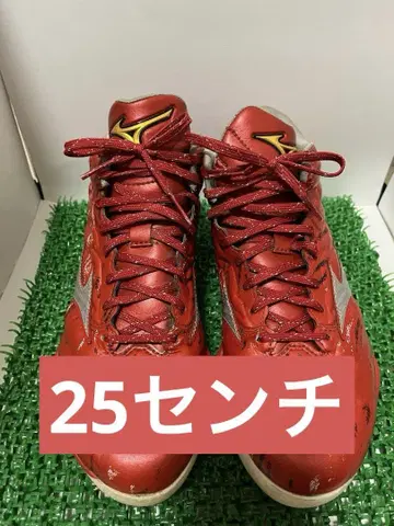 [인기] 미즈노 프로 야구 스파이크 25cm