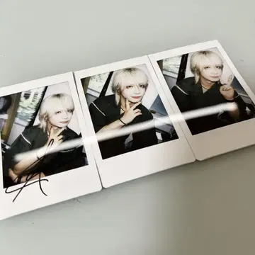 제로[Hz] ROY 폴라로이드