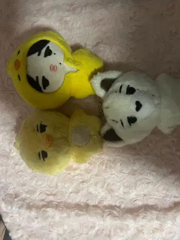 니키 인형 봉제인형 세트