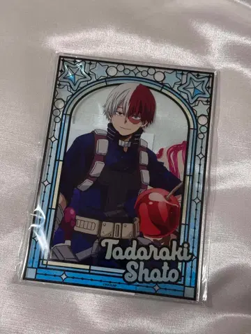 토도로키 쇼토 S상 아크릴 보드 아크릴 스탠드 히로아카 오픈 스쿨