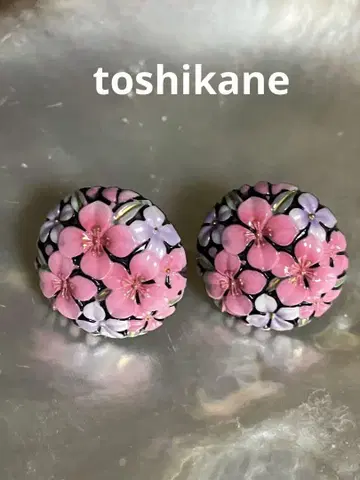 toshikane 토시카네 귀찌