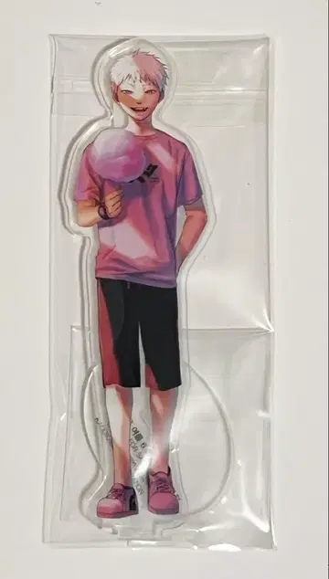 빛이 죽은 여름 히카루 아크릴 스탠드