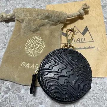 DWS saad 코인 케이스