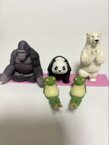 해양당 사토 쿠니오의 동물들 요가의 시간 5세트