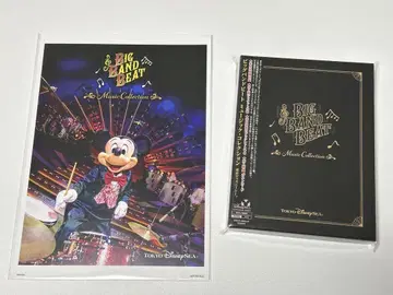 빅뱅 비트 뮤직 컬렉션 완전 생산 한정판