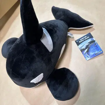 아스 모찌모찌 봉제 인형 나고야항 수족관