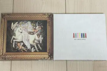 Mrs. GREEN APPLE ANTENNA Soranji 초회 한정판