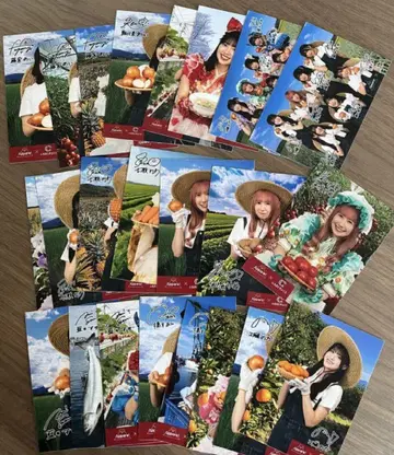 Appare! 브로마이드 23매와 오리지널 아크릴 스탠드 고향 초이스