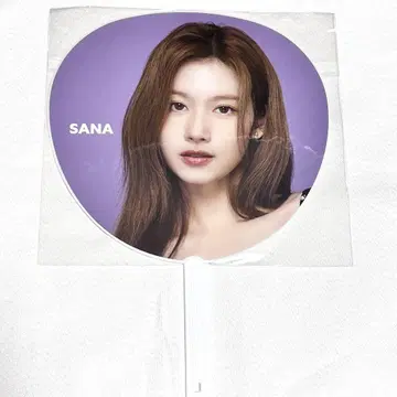 TWICE 사나 부채