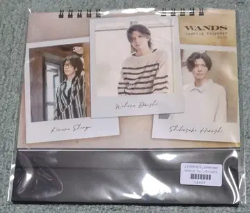 WANDS 공식 달력 2025