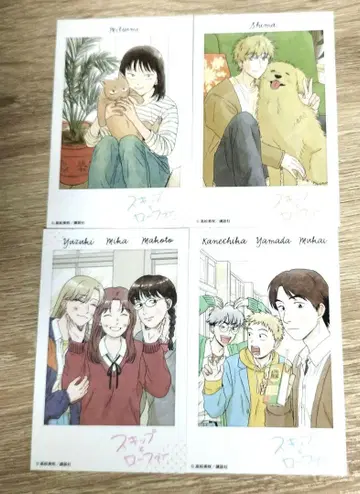 스킵과 로퍼 혜택 카드 컴플리트 세트 폴라로이드풍 카드