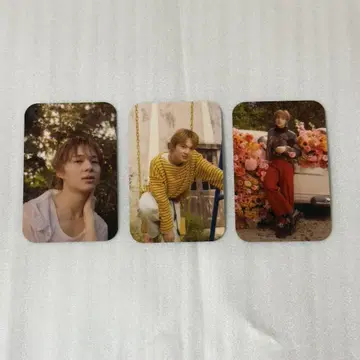Nunew Photobook 트레이딩 카드