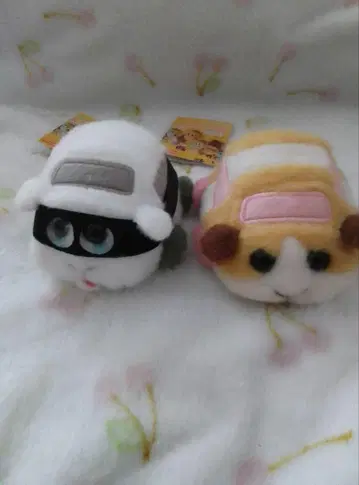 PUI PUI 모루카 프라이즈 상품 쌩쌩 모루카 2종 택 포함