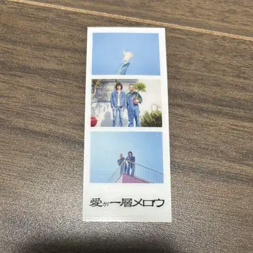 이혼전설 포토그레이 사랑이 한층 mellow