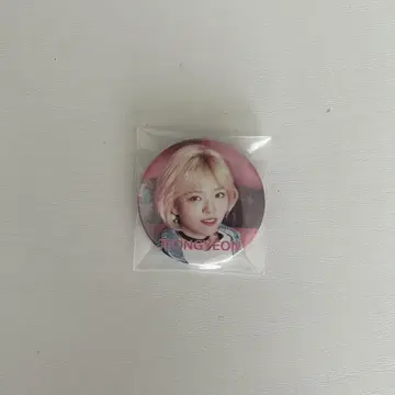 정연 캔뱃지