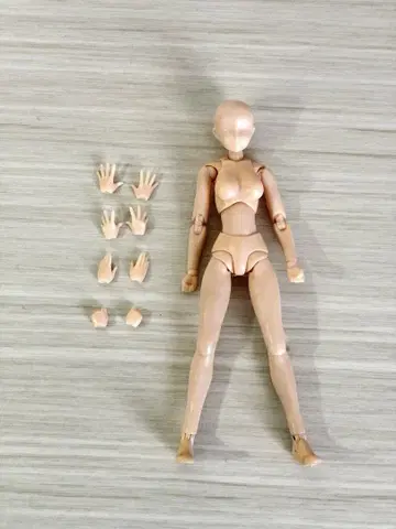 S.H.Figuarts 바디 짱 스킨 컬러 정품 반다이 피규어 소체