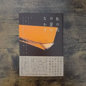 내 피부 요새 속에서