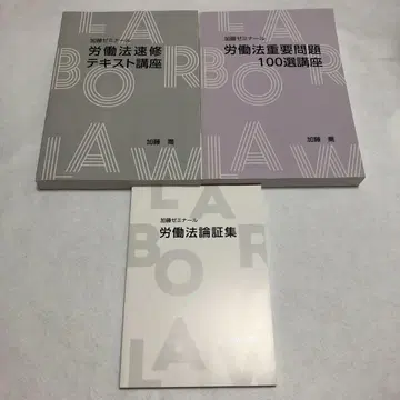 [미사용] 가토 제미나르 노동법 속수 텍스트 중요 문제 100선 논증집