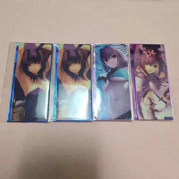 FGO 최종 재림전 편성 화면풍 카드 스카사하 스카디