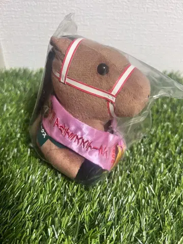 라벨 아이돌 호스 봉제 인형