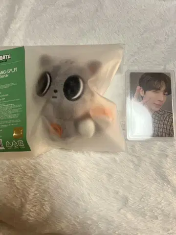 다고냥 키링 초대 태현 트레이딩 카드