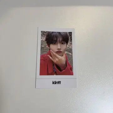 idntt/비쥬/팝업/폴라로이드