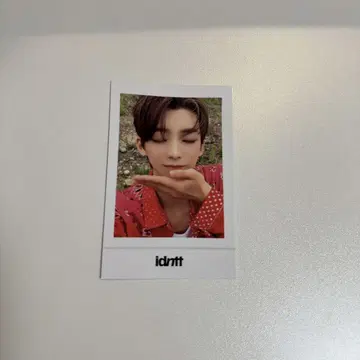 idntt/도훈/팝업/폴라로이드