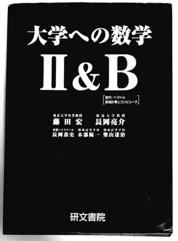 대학으로의 수학 IIB 연문서원 블랙 대수 레어