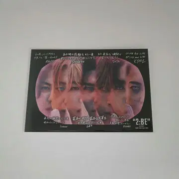 비퍼스트 카드 전원
