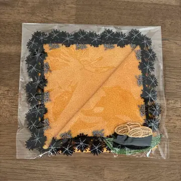 치카자와 레이스 우니