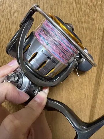 DAIWA BLAST LT6000D-H 스피닝 릴