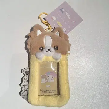 파우치 카드용 홀더 치와와 (언제나 함께 우리 아이) 산리오