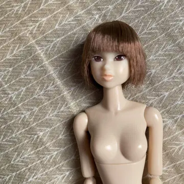 세키구치 momoko 본체만