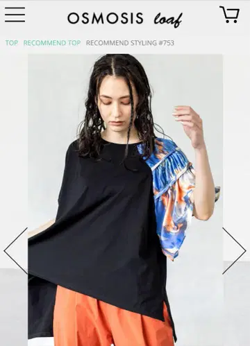 개더 그랑 아시메 풀오버