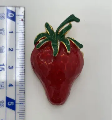 츠모리치사토 딸기 브로치