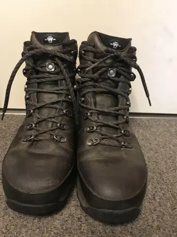Lowa 로버 타호프로 GTX WXL US 10 사이즈