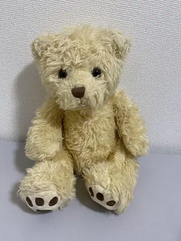 빌드어베어 곰 테디베어 봉제 인형