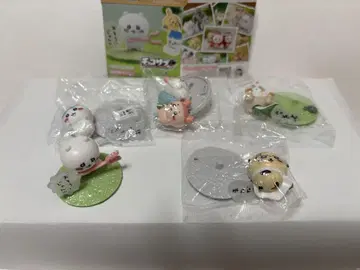 초코사프 치이카와 (먼작귀)