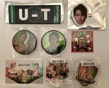 드래곤 게이트 U-T 선수 묶음 판매