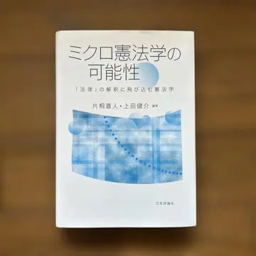 미시 헌법학의 가능성