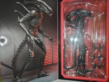 NECA 네카 제노모프 XX121 에이리언 로물루스