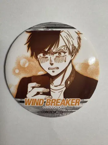 WIND BREAKER 윈드브레이커 복권 럭키 캔뱃지 사쿠라 하루카