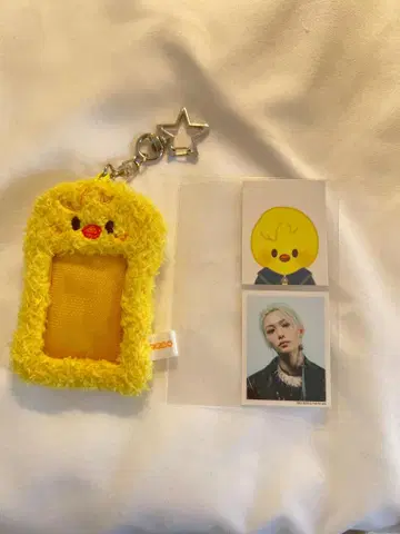 StrayKids SKZOO 필릭스 폭아리 ID 사진 홀더