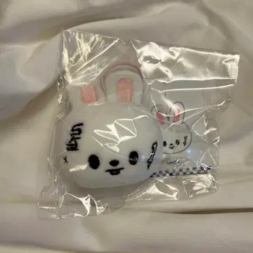 스키즈 KARMA 팝업 네임택 리노 Lee비트