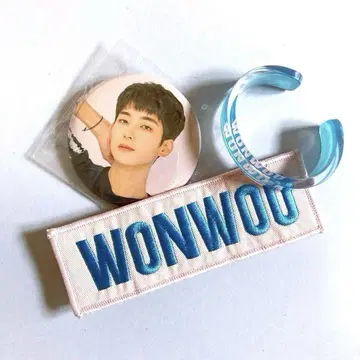 SEVENTEEN 원우 WONWOO 와펜