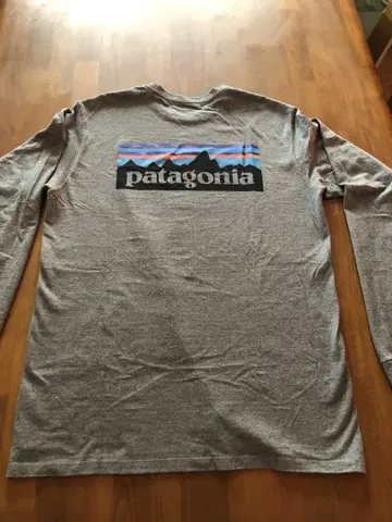 patagonia 긴팔 티셔츠 그레이