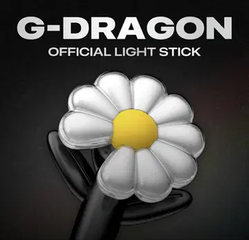 G-DRAGON 응원봉