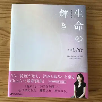 생명의 빛 순수한 세계 Chie Art