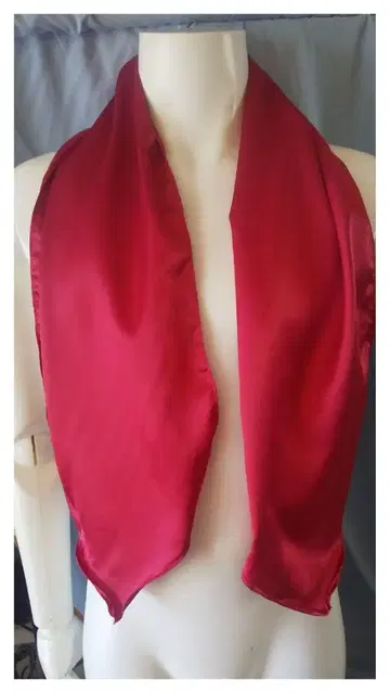 라이더 머플러